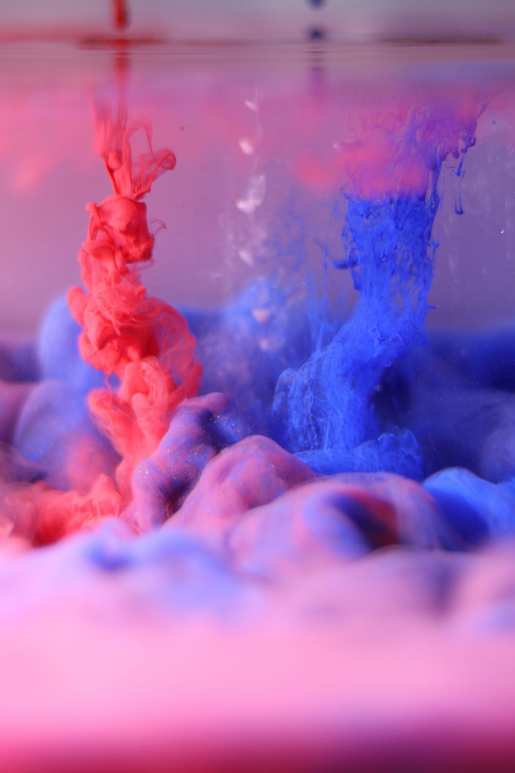 likith-t-pD683mouetc-unsplash